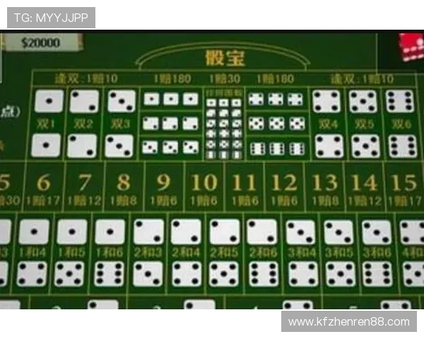 血战骰宝规则详解及实战技巧分享让你轻松应对各种游戏局面